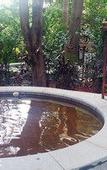 Туры в отель Richwood Garden Hotel