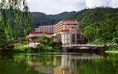Туры в отель the Lotus Villa Hotel