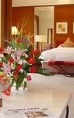 Туры в отель the Lotus Villa Hotel