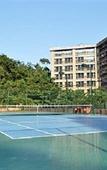 Туры в отель the Lotus Villa Hotel