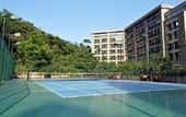 Туры в отель the Lotus Villa Hotel