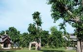 Туры в отель InterContinental Hotels XISHUANGBANNA RESORT by IHG
