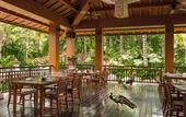Туры в отель InterContinental Hotels XISHUANGBANNA RESORT by IHG