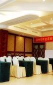 Туры в отель Treasure Island Hotel