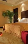 Туры в отель Yaojiang New Century Grand Hotel
