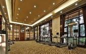 Туры в отель Howard Johnson Agile Plaza Chengdu