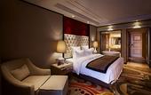 Туры в отель Landmark Hotel (Guangxi University)