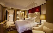 Туры в отель Landmark Hotel (Guangxi University)
