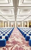 Туры в отель Sheraton Changchun Jingyuetan Hotel