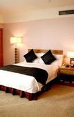 Туры в отель International Hotel