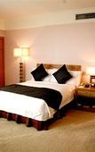 Туры в отель International Hotel