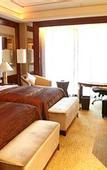 Туры в отель International Hotel
