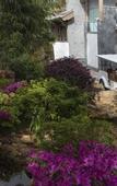 Туры в отель LUX* Tea Horse Road Lijiang
