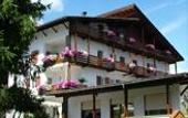 Туры в отель Latemar Hotel Val di Fiemme