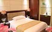 Туры в отель Vienna International Hotel (International Convention and Exhibition Center Ma'anshan Subway Station)