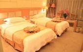 Туры в отель Vienna International Hotel (International Convention and Exhibition Center Ma'anshan Subway Station)