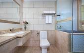 Туры в отель Vienna International Hotel (International Convention and Exhibition Center Ma'anshan Subway Station)