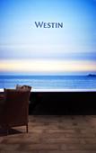 Туры в отель the Westin Zhujiajian Resort, Zhoushan