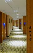 Туры в отель Xixingyuan International Hotel (Hangzhou Xixi Wetland Liuxia Metro)