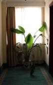 Туры в отель GreenTree Inn Yizheng Zhenzhou East Road
