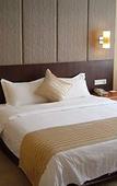 Туры в отель Nanjing International Conference Hotel