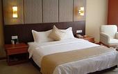 Туры в отель Nanjing International Conference Hotel