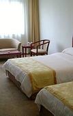 Туры в отель Nanjing International Conference Hotel