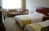 Туры в отель Nanjing International Conference Hotel