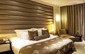 Туры в отель Nanjing International Conference Hotel