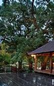 Туры в отель Landison  Retreat  Putuoshan Zhoushan