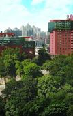 Туры в отель City Hotel Xiamen (Zhongshan Road Wanshi Botanical Garden Hotel)