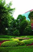 Туры в отель City Hotel Xiamen (Zhongshan Road Wanshi Botanical Garden Hotel)