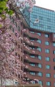 Туры в отель City Hotel Xiamen (Zhongshan Road Wanshi Botanical Garden Hotel)