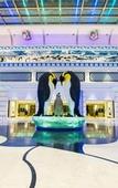 Туры в отель Chimelong Penguin Hotel