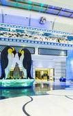 Туры в отель Chimelong Penguin Hotel