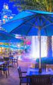 Туры в отель Chimelong Penguin Hotel
