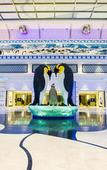 Туры в отель Chimelong Penguin Hotel