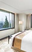 Туры в отель The Grand Mansion Hotel, Nanjing