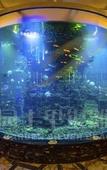 Туры в отель Country Garden Silver Beach Hotel