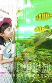 Туры в отель Country Garden Silver Beach Hotel