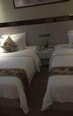 Туры в отель Paco Hotel (Guangzhou Tianhe Coach Terminal Metro Station)