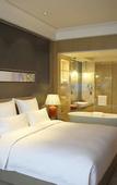 Туры в отель Pullman Shishi Mattison