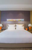 Туры в отель Pullman Shishi Mattison