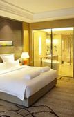 Туры в отель Pullman Shishi Mattison