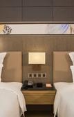 Туры в отель Pullman Shishi Mattison
