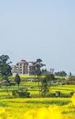 Туры в отель Four Points by Sheraton Chengdu, Pujiang Resort