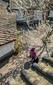 Туры в отель Four Points by Sheraton Chengdu, Pujiang Resort