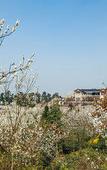 Туры в отель Four Points by Sheraton Chengdu, Pujiang Resort