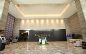 Туры в отель Kaleiston Hotel
