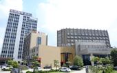 Туры в отель Kaleiston Hotel